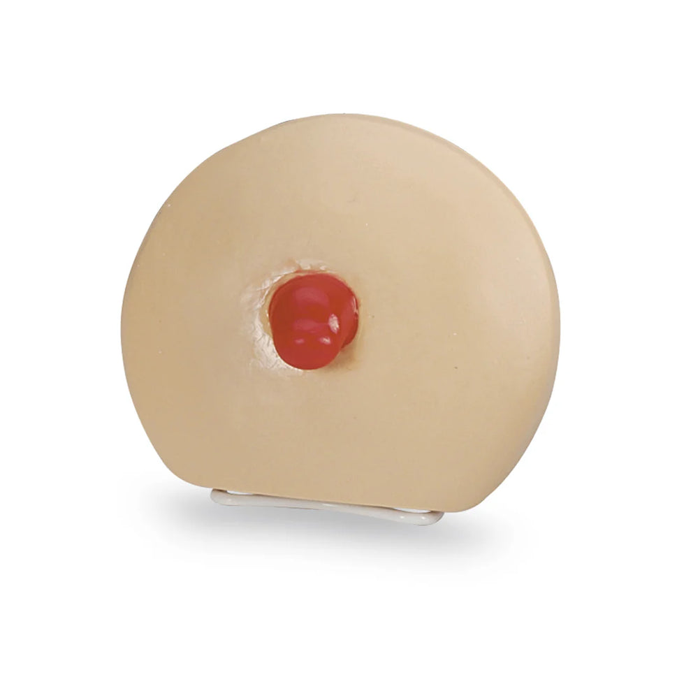 Ostomy Care Training Models