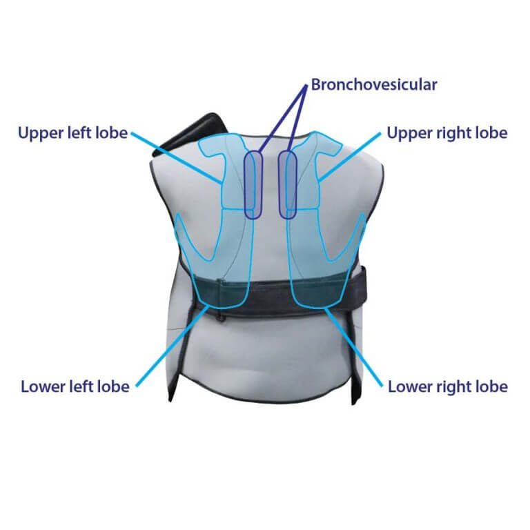 Wearable Auscultation Trainer