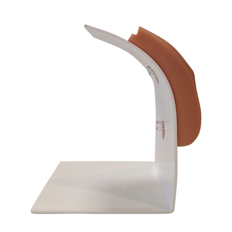 Dual Sex Urinary Catheterisation and Enema Trainer With Stand