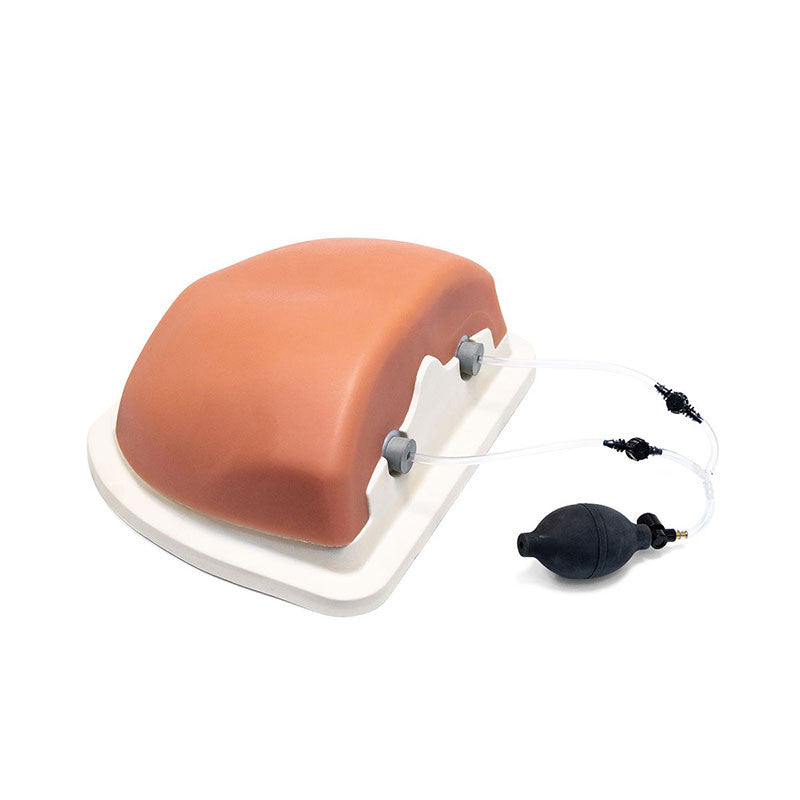 Thoracic Spine Injection Trainer