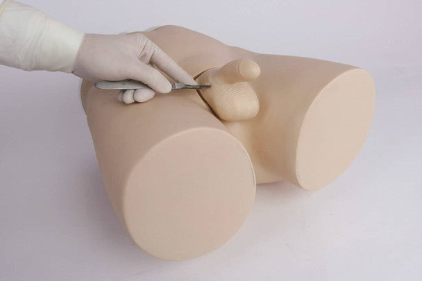 Vasoligation Trainer