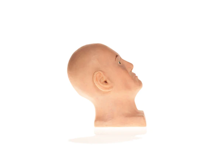 Cosmo Suturing Head Model