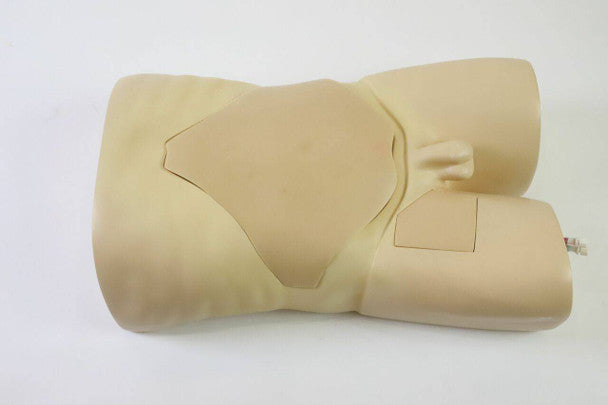 Femoral Arteriovenous Puncture and Abdominocentesis Ultrasound Training Model