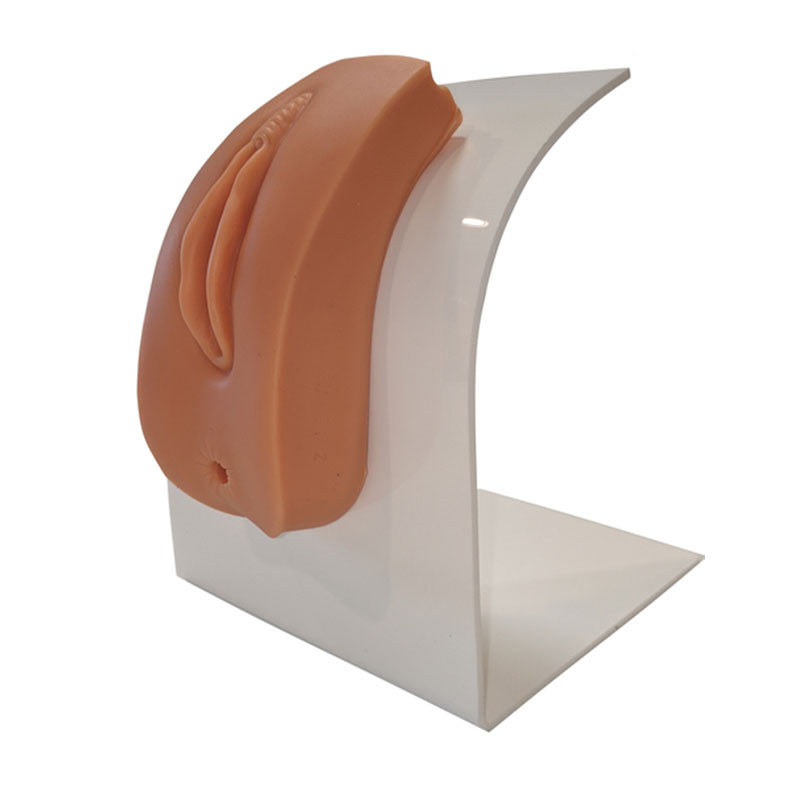 Dual Sex Urinary Catheterisation and Enema Trainer With Stand