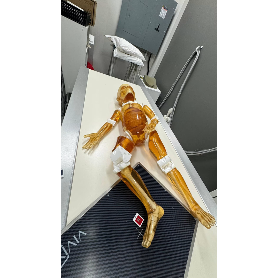 Paediatric Full Body Phantom for X-Ray CT, MRI