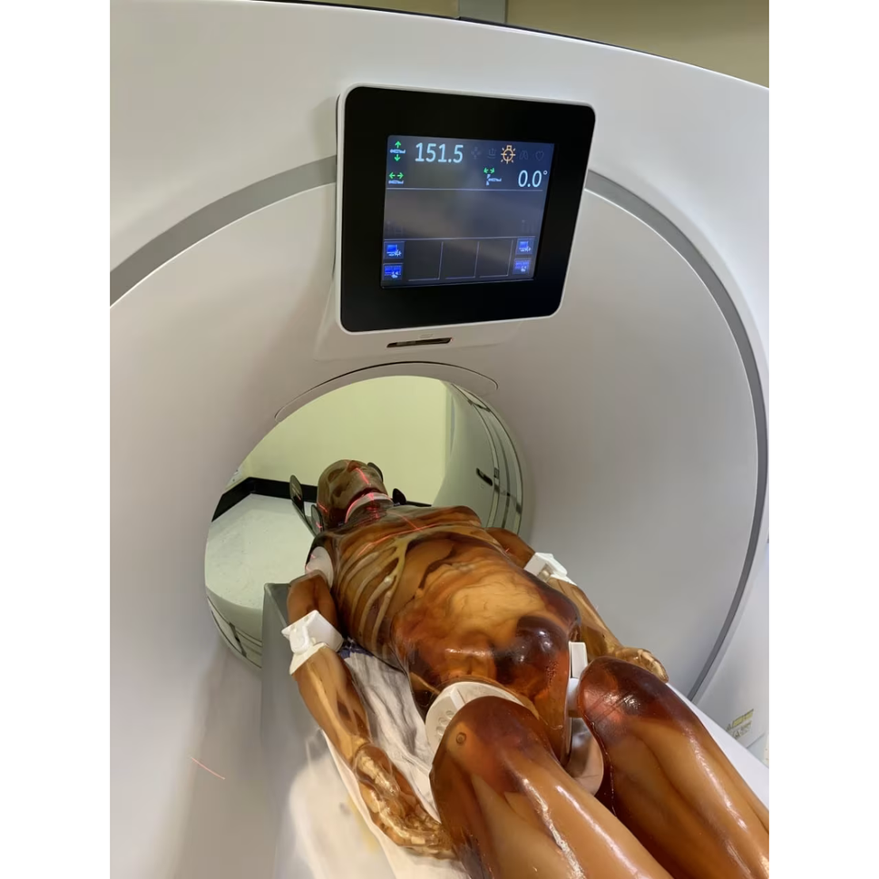 Adult Full Body Phantom with Muscles for X-Ray CT, MRI