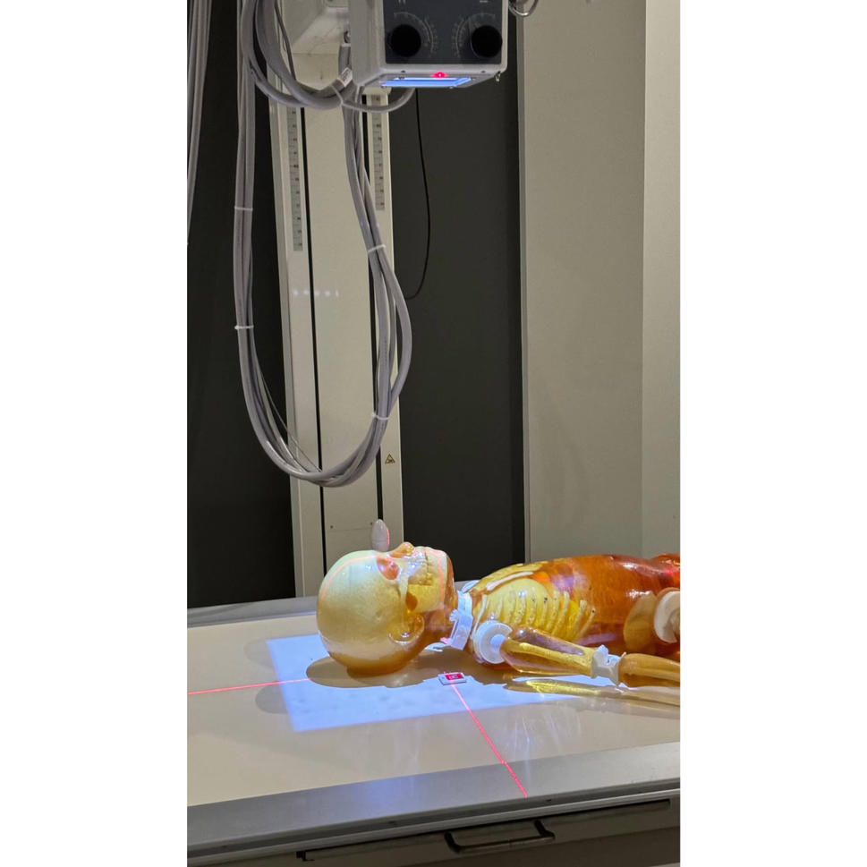 Paediatric Full Body Phantom for X-Ray CT, MRI