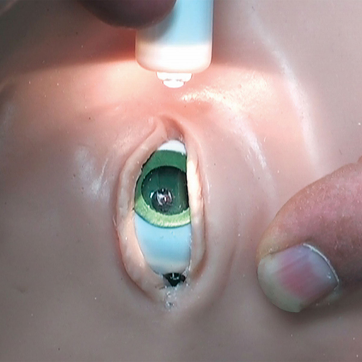 Light Reactive Eyes