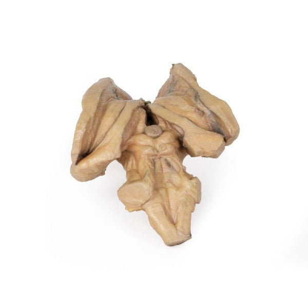 Brain 3D Printed Anatomy Model