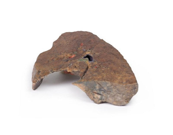 Lung 3D Printed Anatomy Model