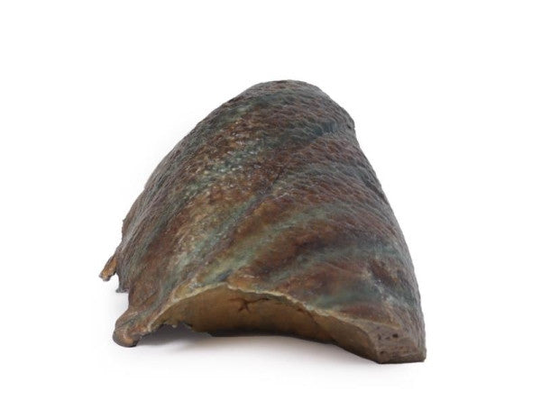 Lung 3D Printed Anatomy Model