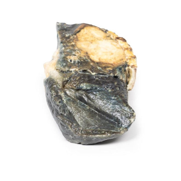 Metastatic Tumour in Lung from Primary Testicular Cancer 3D Printed Anatomy Model