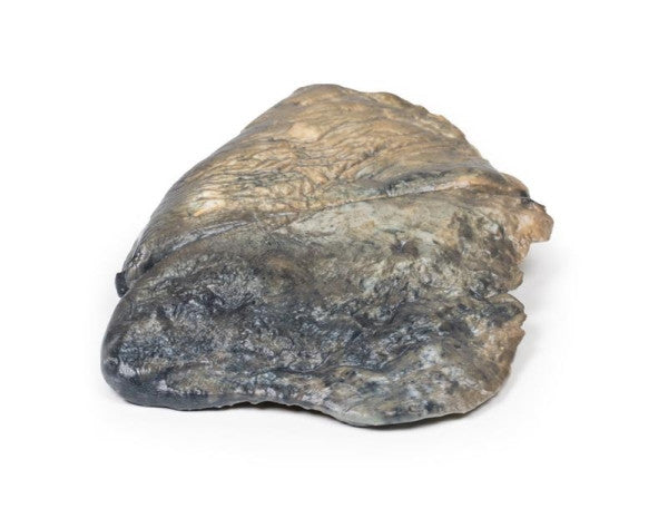 Bronchi 3D Printed Anatomy Model