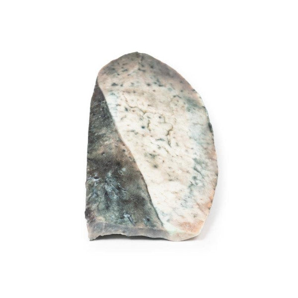 Lobar Pneumonia 3D Printed Anatomy Model