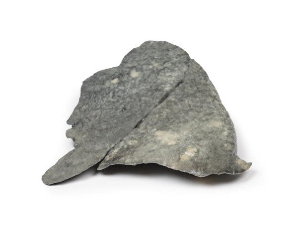 Lung 3D Printed Anatomy Model