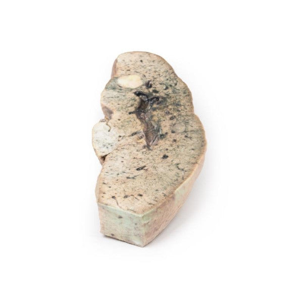 Liver 3D Printed Anatomy Model