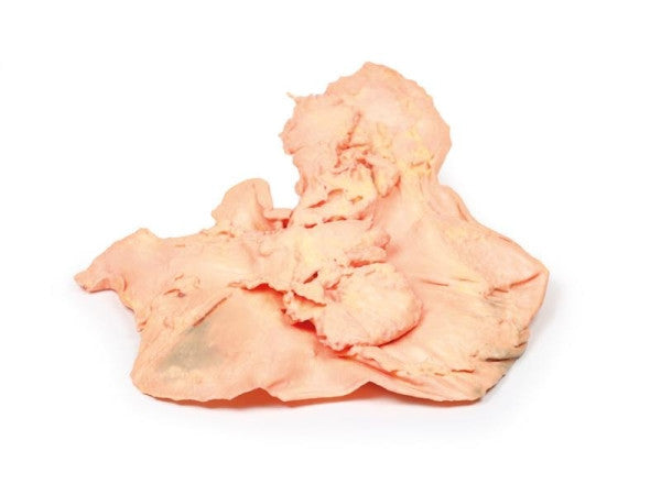 Stomach 3D Printed Anatomy Model