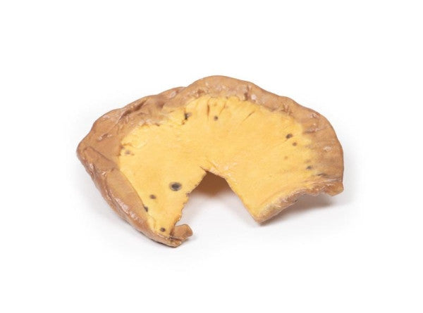 Melanoma 3D Printed Anatomy Model