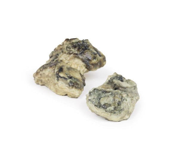 Suppurative Arthritis of the Knee 3D Printed Anatomy Model