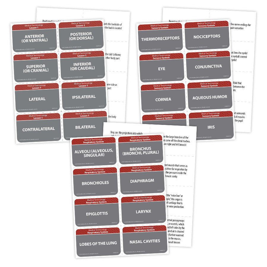 Medical Terminology Kit Flashcards