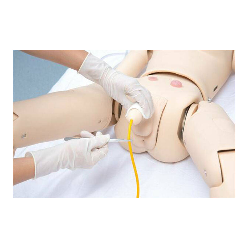 All-Purpose Patient Care Simulator