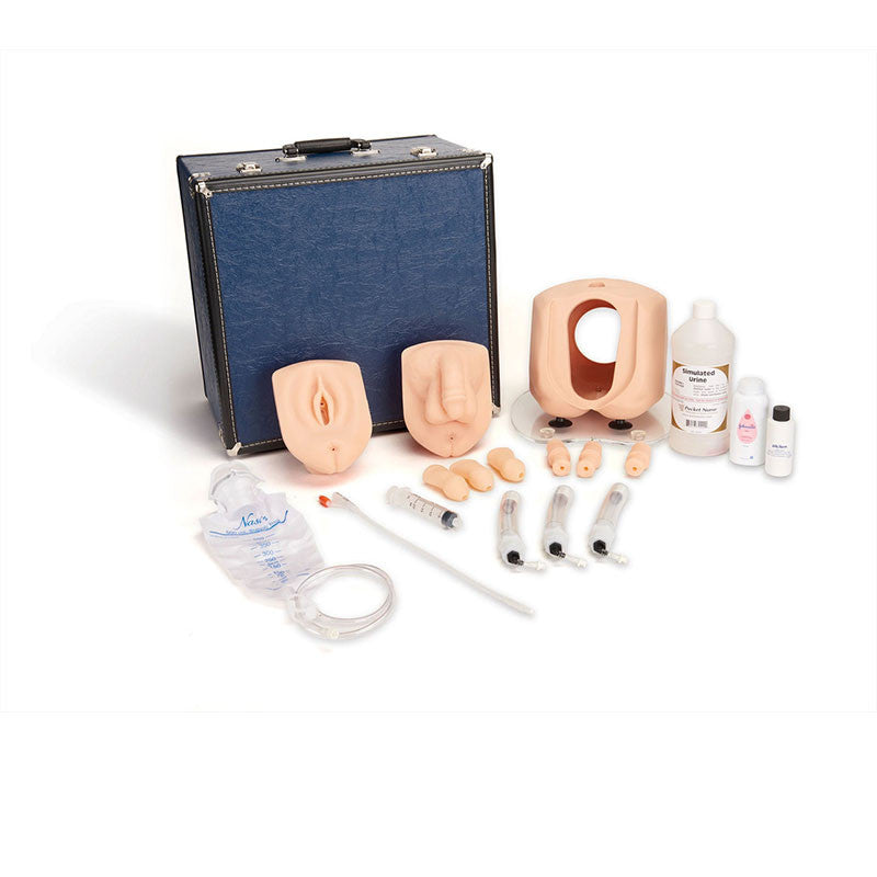 Male and Female Catheterisation Simulator