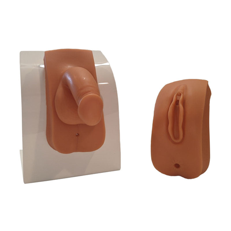 Dual Sex Urinary Catheterisation and Enema Trainer With Stand