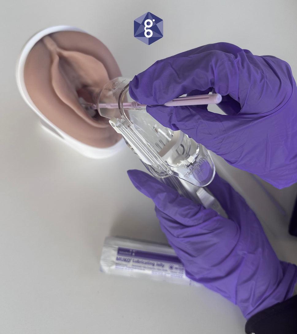 Educational Pelvic Health Kit