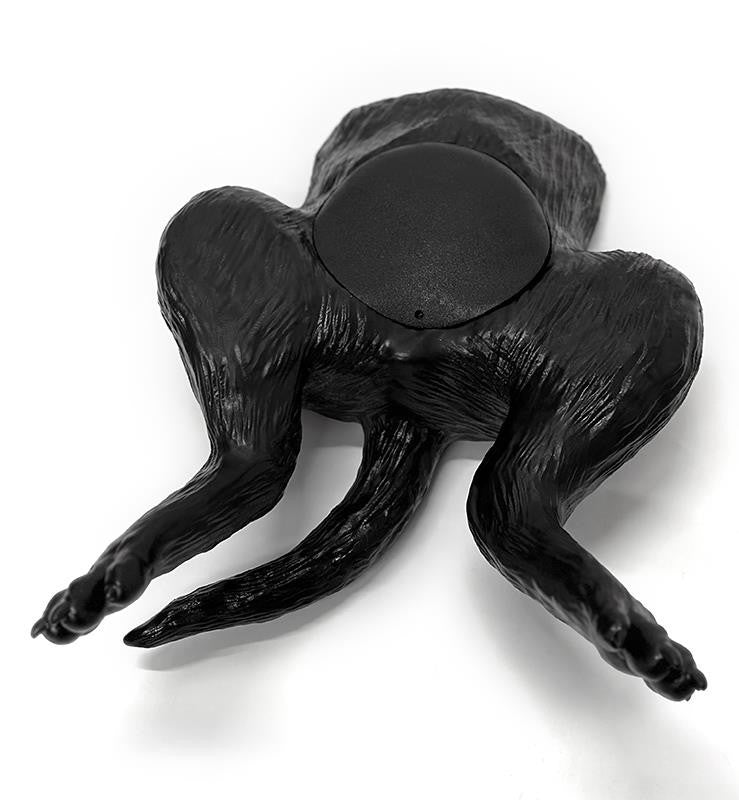 Canine Bladder Ultrasound Simulator