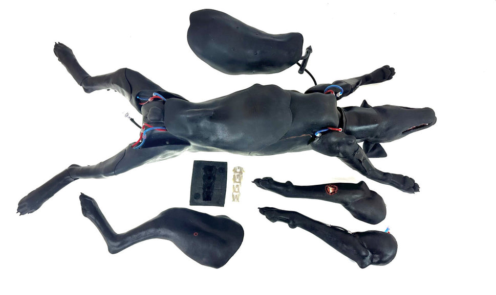 SynDaver Modular Canine