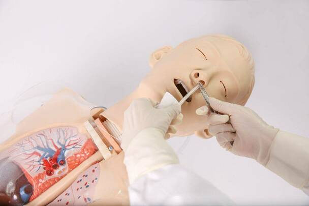 Multi-purpose Gastric Lavage Trainer