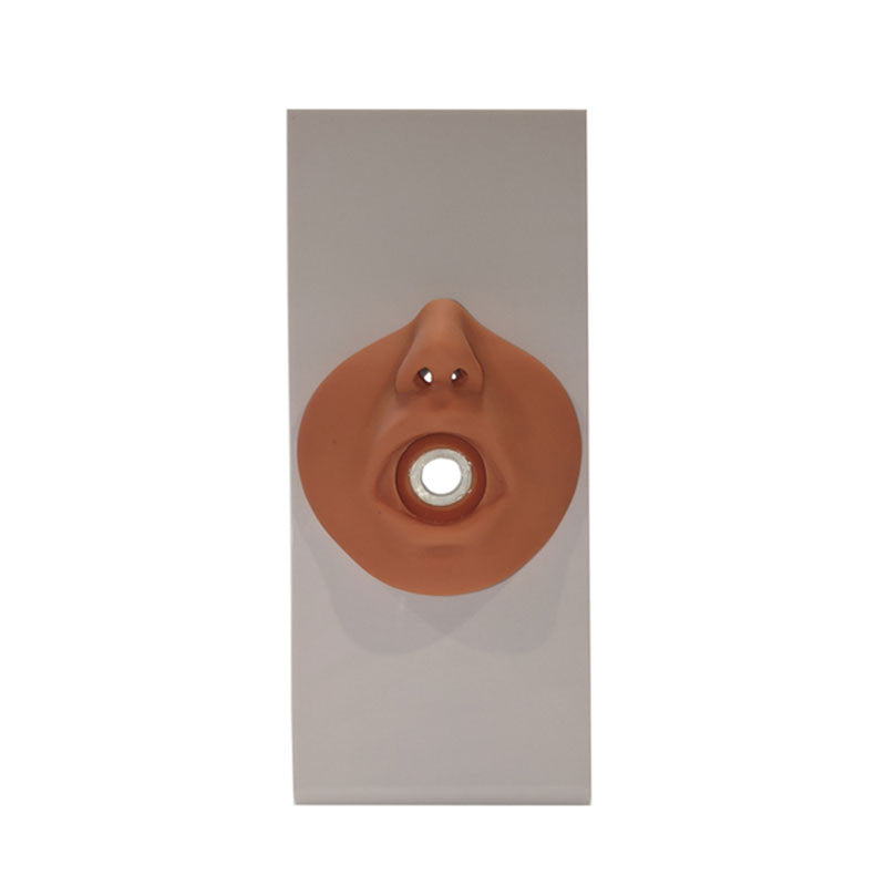 Nasal Swab Face Model For Nurse Training