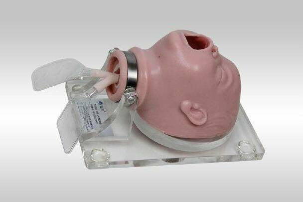 Neonate Airway Management Trainer