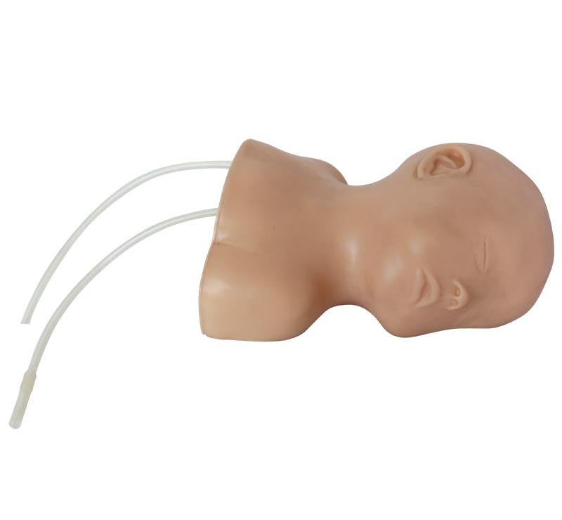 Neonate Scalp Venepuncture Training Model
