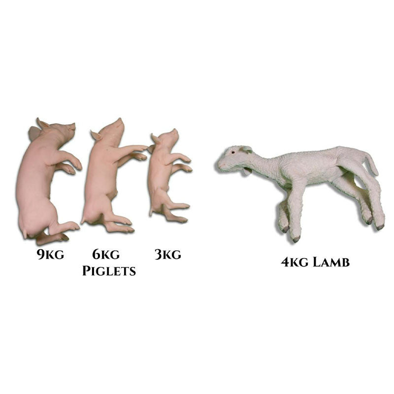 Captive Bolt Gun Non-Penetrating Training Model