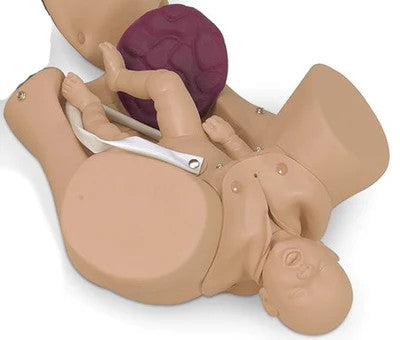 OB Manikin Basic