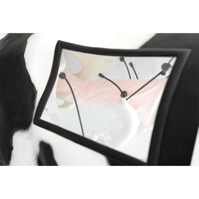 Advanced Bovine Simulator for Artificial Insemination (AI)