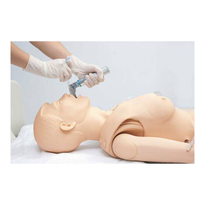 All-Purpose Patient Care Simulator