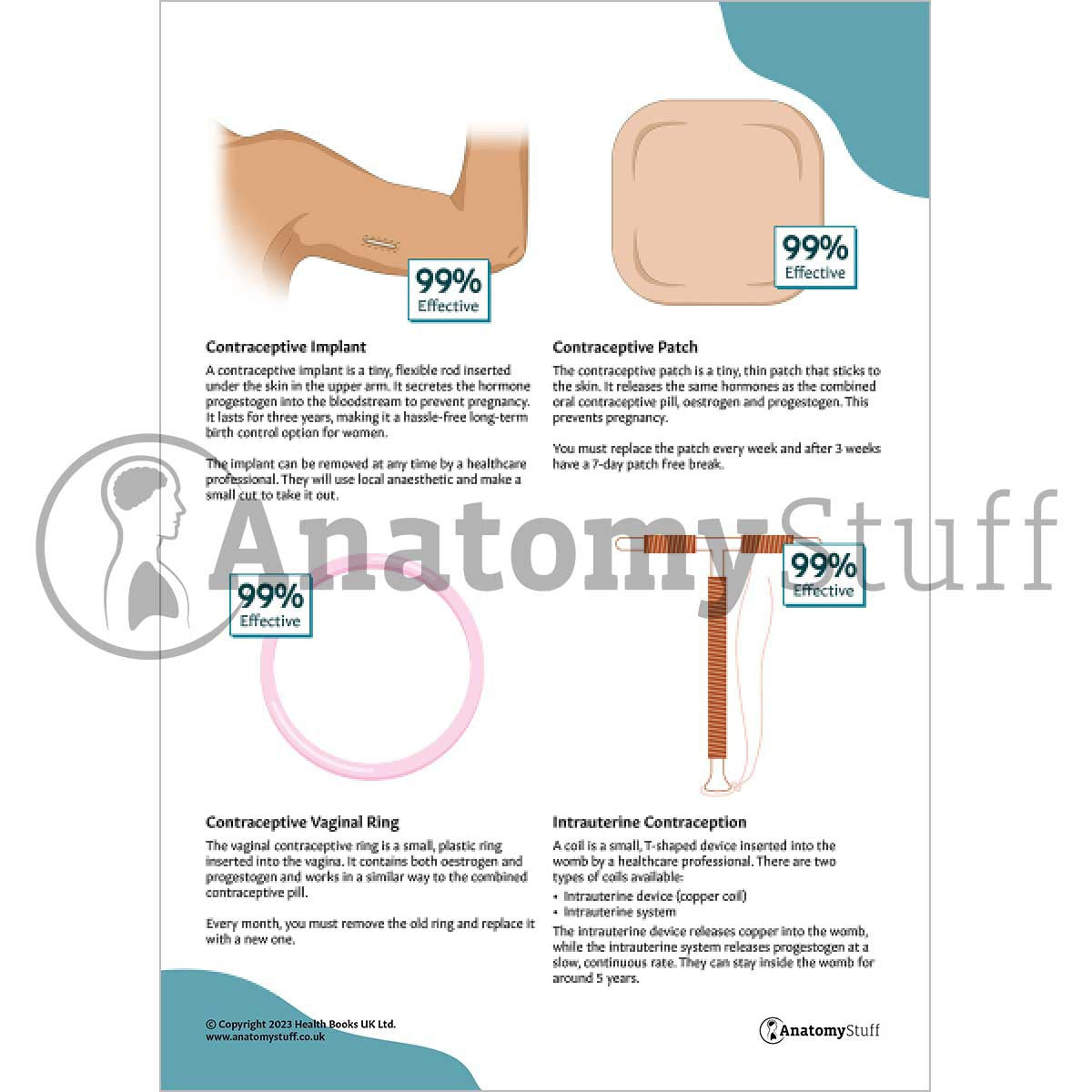 Contraception - All You Need to Know (Printable PDFs)