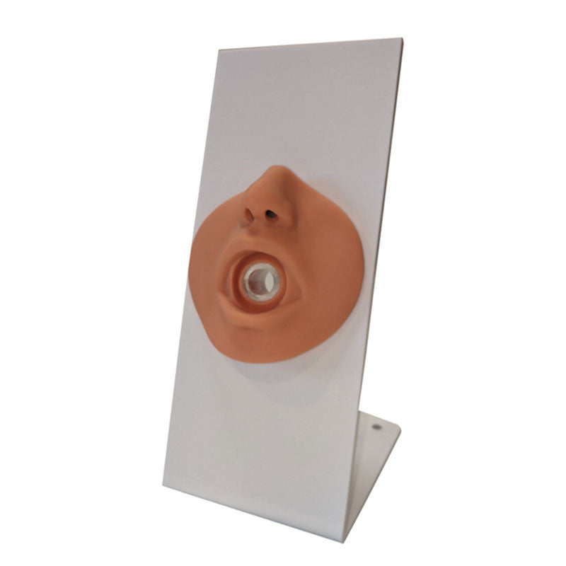 Portable Nursing Simulation Kit