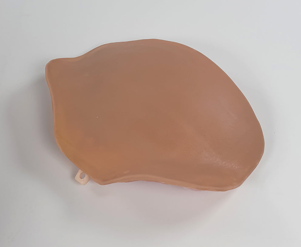 C-Section Trainer
