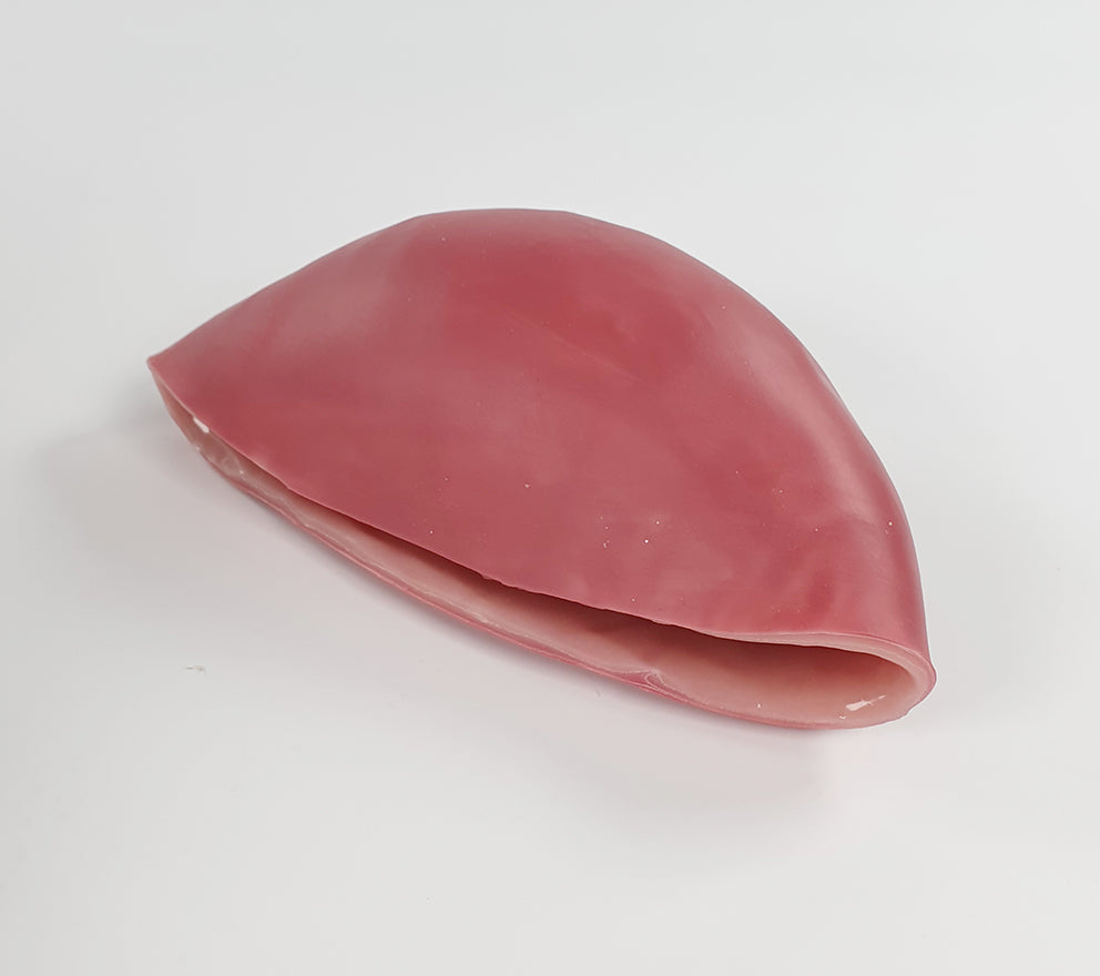 C-Section Trainer