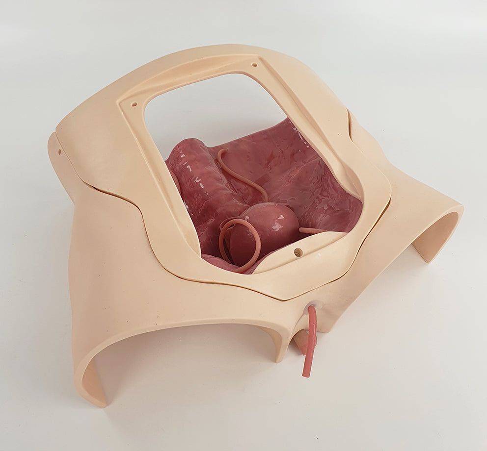 Prostatectomy Trainer