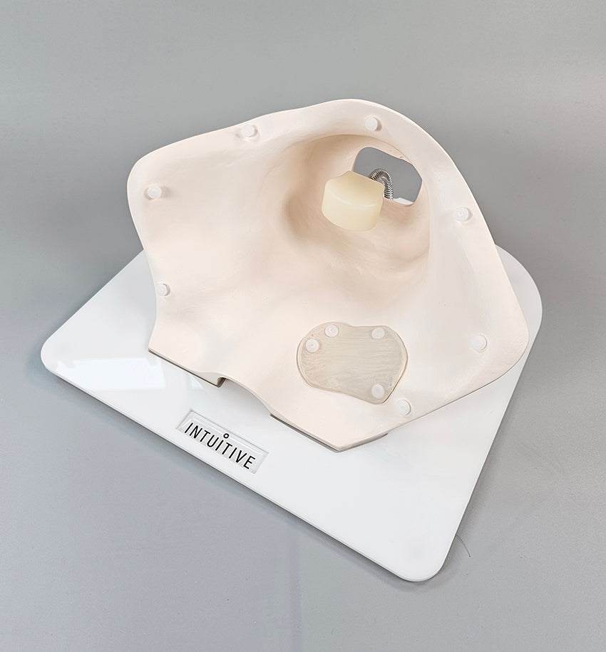 Sacrocolpopexy Trainer