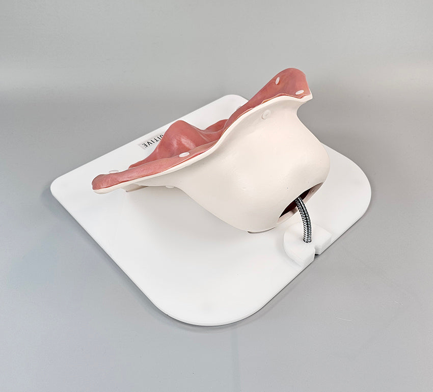 Sacrocolpopexy Trainer