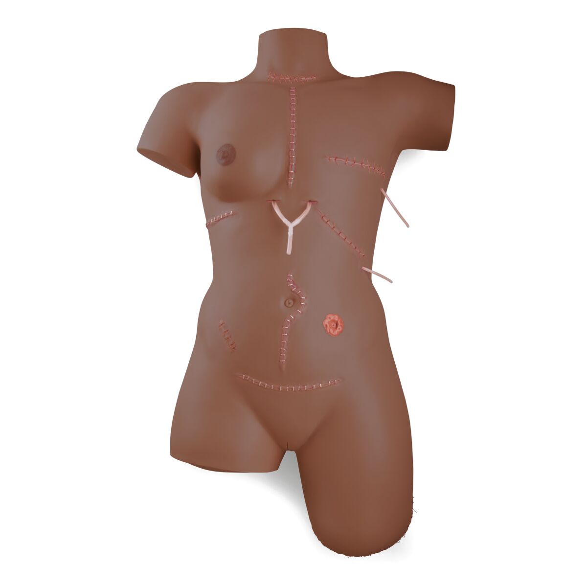 Wound Care / Bandaging Technique Trainer