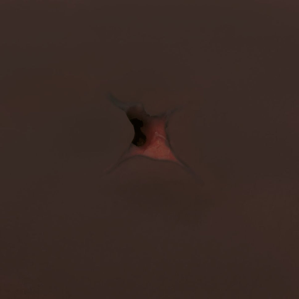 Haemorrhage Control Arm Trainer