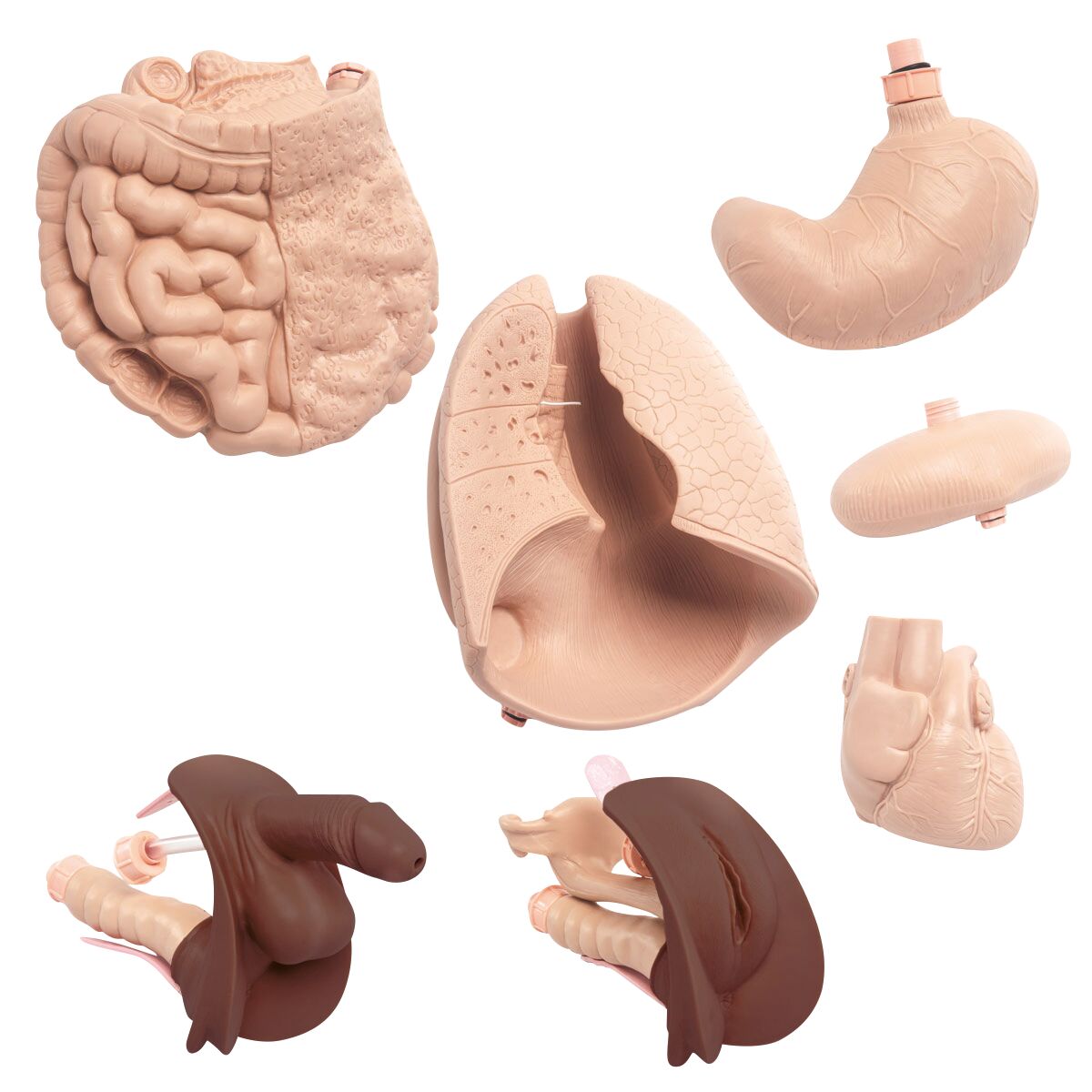 Upgrade Kit for Patient Care Manikin Basic