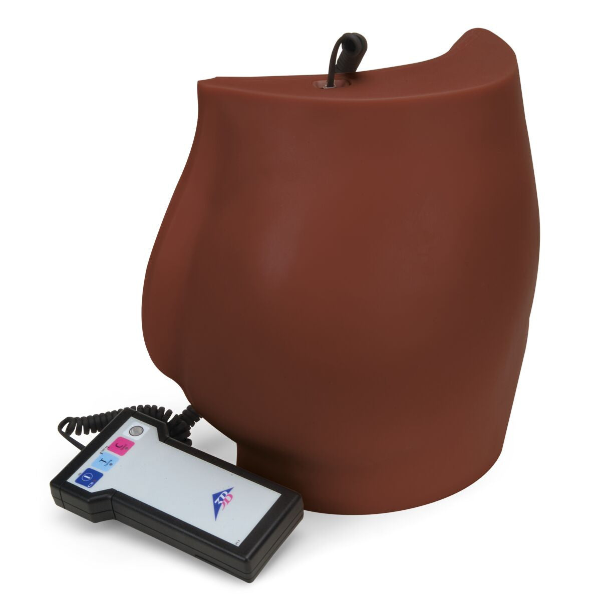 Buttock Intramuscular Injection Simulator