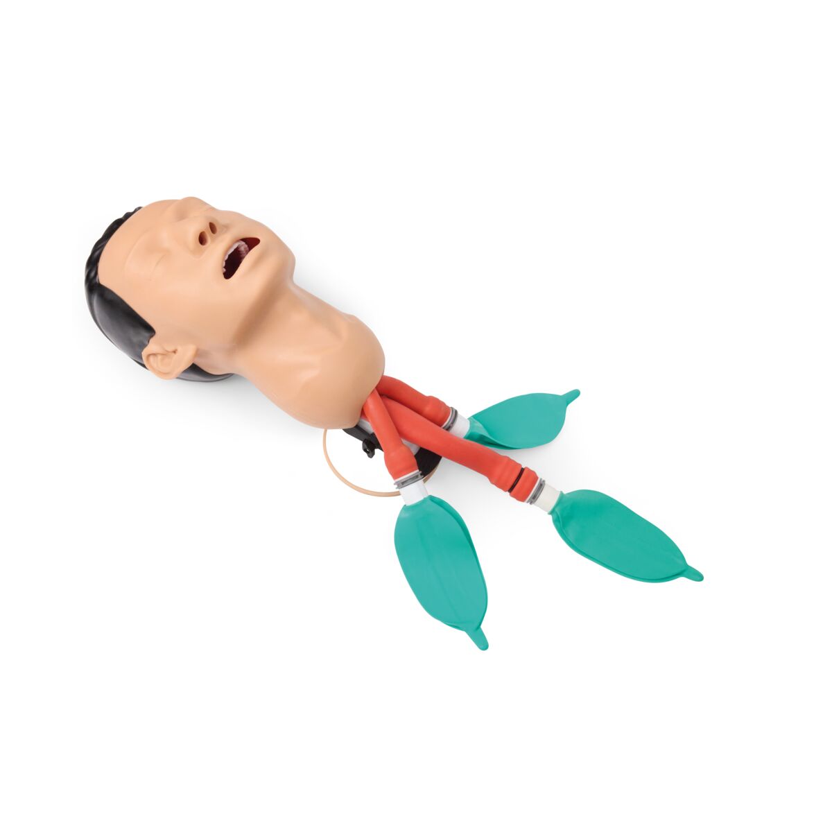 Basic Airway Management Trainer